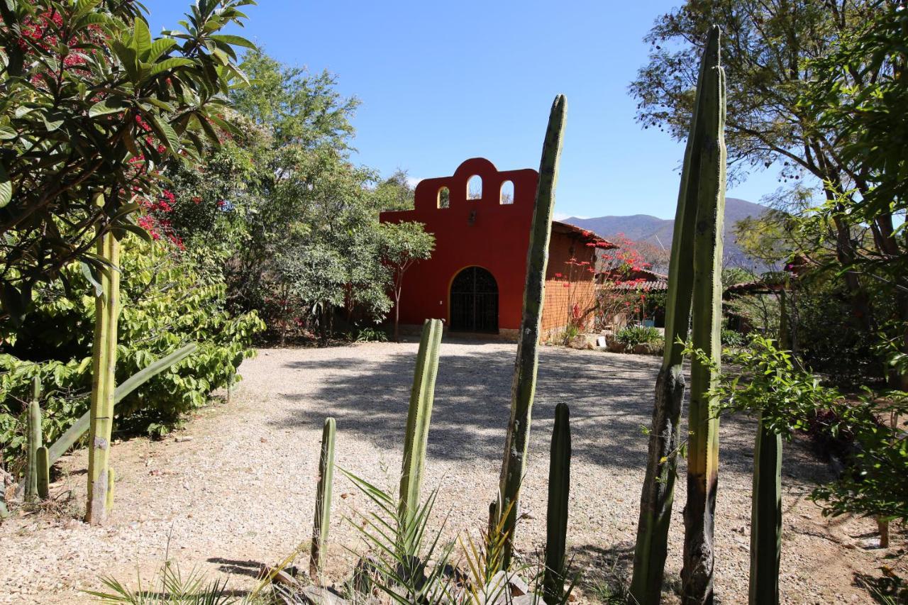 Huayapam Yu'U Lodge San Andrés Huayapan Dış mekan fotoğraf
