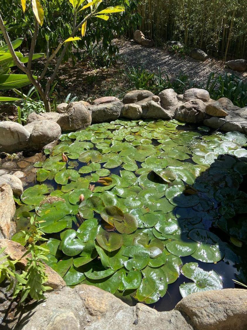 Huayapam Yu'U Lodge San Andrés Huayapan Dış mekan fotoğraf